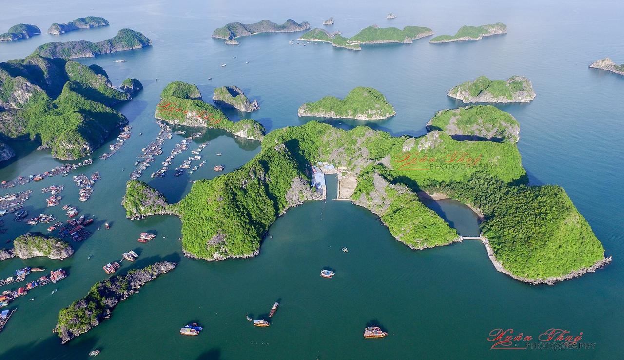 Cat Ba Hostel Cat Ba Island Luaran gambar
