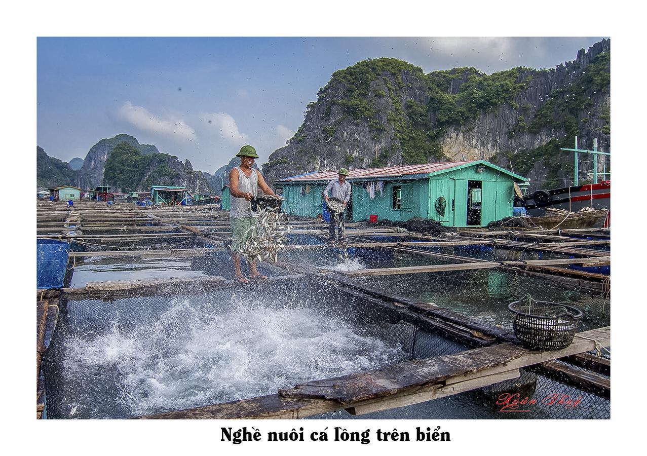Cat Ba Hostel Cat Ba Island Luaran gambar