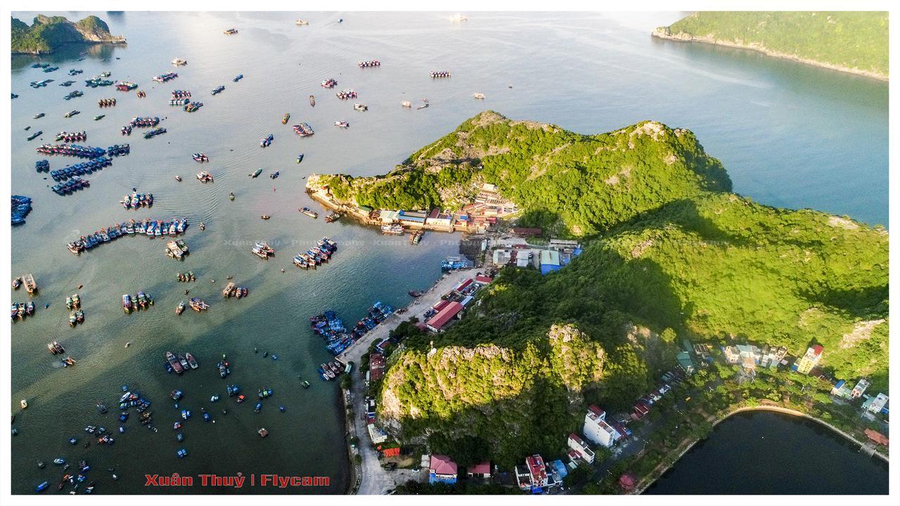 Cat Ba Hostel Cat Ba Island Luaran gambar